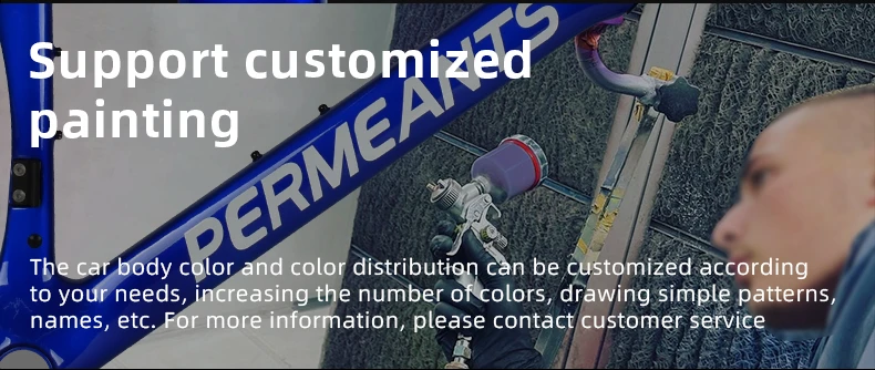Custom painting service for PERMEANTS SA-01 carbon frames, allowing custom colors and patterns.