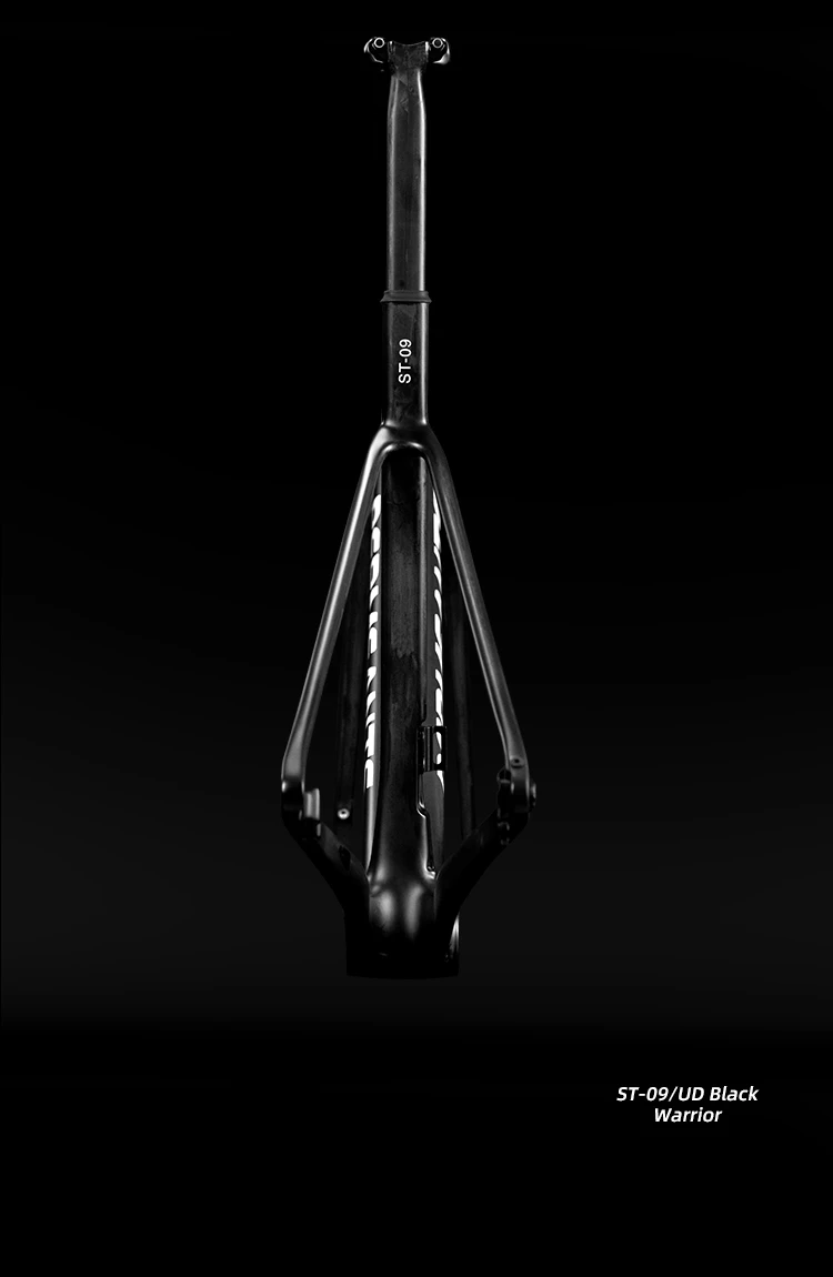 Rear view of Permeants ST-09 UD Black Warrior matte frame, highlighting the aerodynamic D-shaped seatpost, clean internal routing exit, and integrated rear triangle alignment.