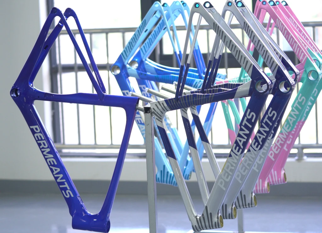 CARBON-FRAMESET-customize service